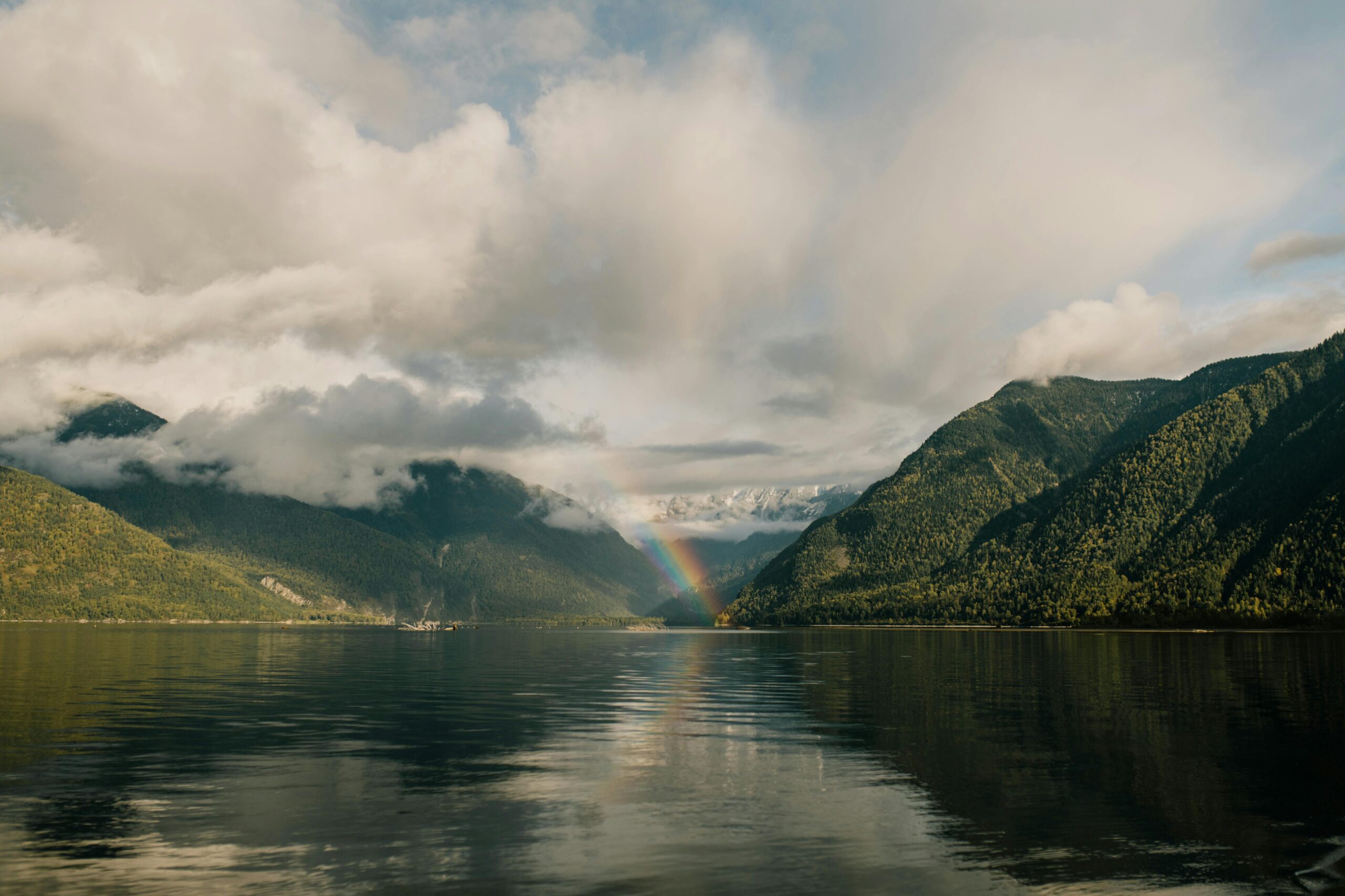 pexels-julia-volk-5652642